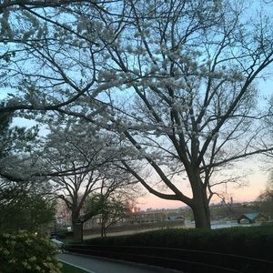 Meet your Posher, Maddi